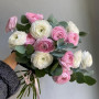 15 белых и розовых ранункулюсов